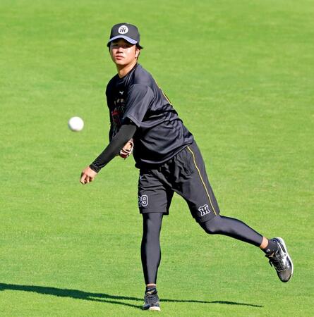 キャッチボールをする高橋（撮影・立川洋一郎）
