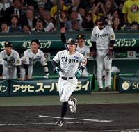 ６回、右飛に倒れる佐藤輝（撮影・山口登）＝８日