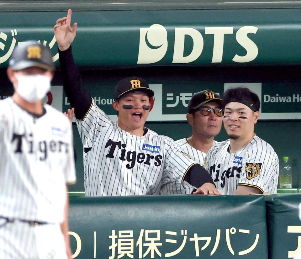 　５回、梅野が中前打を放ち、ベンチで喜ぶ森下と佐藤輝（撮影・山口登）