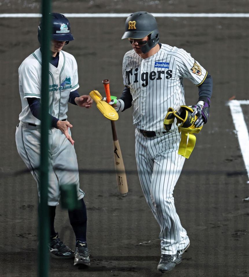 ４回裏阪神１死、四球を選んで出塁後に代走を送られベンチへ戻る阪神・森下翔太＝甲子園（撮影・立川洋一郎）