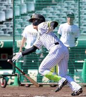 シート打撃で安打性の打球を放つ坂本（撮影・立川洋一郎）