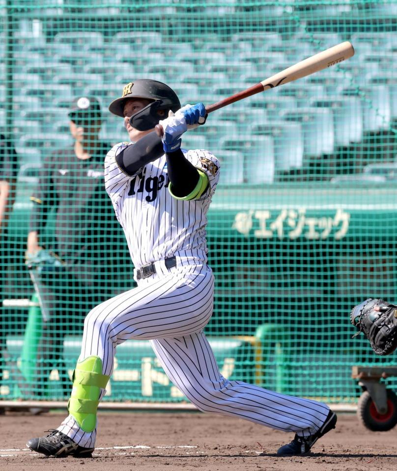 シート打撃で安打性の打球を放つ坂本（撮影・立川洋一郎）