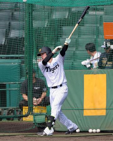 フリー打撃で打ち込む伏見（撮影・立川洋一郎）