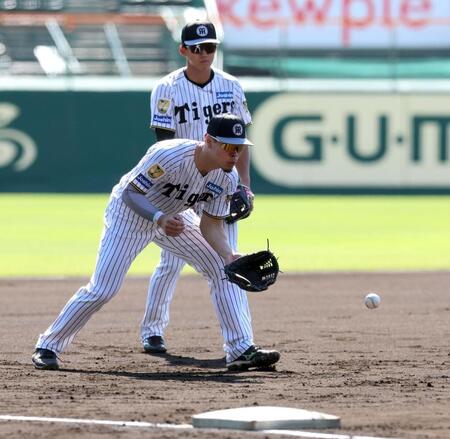 ノックを受ける阪神・佐藤輝明（後方は阪神・立石正広）＝甲子園（撮影・山口登）
