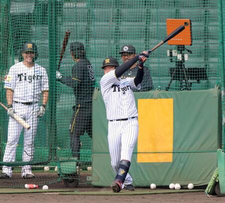 フリー打撃で快音を響かせる大山（撮影・立川洋一郎）