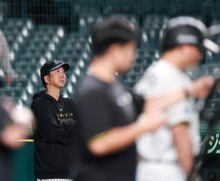練習を見る阪神・藤川球児監督＝甲子園（撮影・西田忠信）