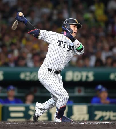 ６回、代打・木浪は空振り三振に倒れる（撮影・坂部計介）