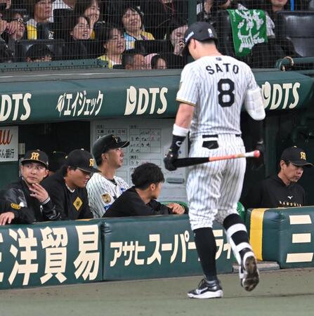 ８回、ベンチから戦況を見守る藤川監督（撮影・飯室逸平）