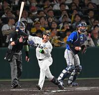 ６回、代打で空振り三振に倒れる木浪（撮影・飯室逸平）