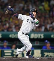６回、代打・木浪は空振り三振に倒れる（撮影・坂部計介）