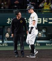 ８回、佐藤輝は自打球を受けトレーナーが駆け付ける（撮影・山口登）