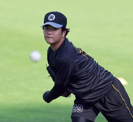 キャッチボールする阪神・高橋遥人＝甲子園（撮影・山口登）