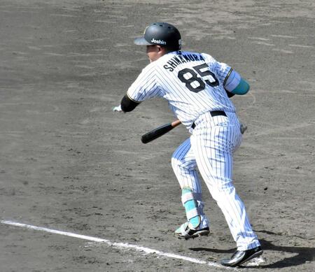 　５回、中前適時打を放つ嶋村（撮影・河西俊輔）