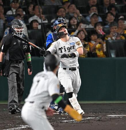 ４回、遊飛に倒れ、悔しがる佐藤輝（撮影・飯室逸平）