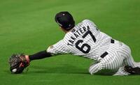 ７回、蝦名の打球を飛び込んでキャッチする右翼手・高寺（撮影・立川洋一郎）