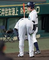 ６回裏阪神２死、二ゴロで一塁に駆け込んだ後、足を気にするそぶりを見せる阪神・森下翔太＝甲子園（撮影・立川洋一郎）