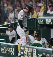 ６回、打席のあと足を気にしながらベンチへ下がる森下（撮影・田中太一）