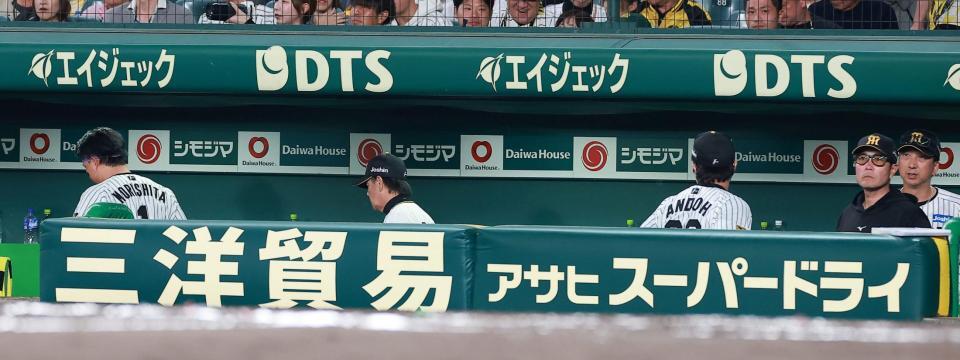 ６回を終え、ベンチ裏に下がる森下。右端は藤川監督（撮影・西田忠信）