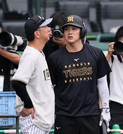 伏見と話しをする藤川監督（撮影・田中太一）