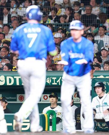 ３回、先制３ランの佐野（手前左）を見つめる藤川監督（撮影・西田忠信）