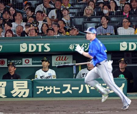 ３回、佐野（手前）に先制３ランを打たれ打球の行方を見る藤川監督（左から２人目）＝撮影・立川洋一郎