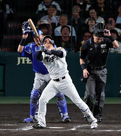 ７回、森下は中飛に倒れる（捕手・戸柱）＝撮影・山口登