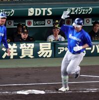 ３回、佐野が先制３ランを放ちベンチからグラウンドを見つめる佐藤輝と森下（撮影・山口登）