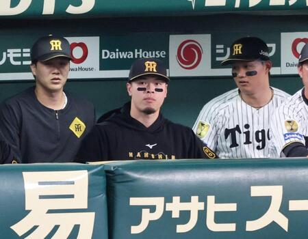 ベンチ入りする佐藤輝（中央）と森下（右）＝撮影・山口登