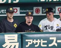 ベンチ入りする佐藤輝（中央）と森下（右）＝撮影・山口登