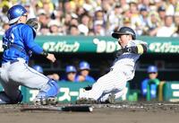 １回、大山の左前打で二走・近本が本塁へ突入、リプレー検証の末セーフとなる（撮影・坂部計介）