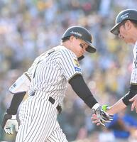 ５回阪神１死、ソロを放ち三塁を回る阪神・森下翔太＝甲子園（撮影・西田忠信）