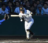 ６回、送りバントを決める熊谷（撮影・飯室逸平）