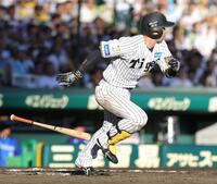 ６回、近本は三ゴロで三塁手がエラー、同点となる（撮影・坂部計介）