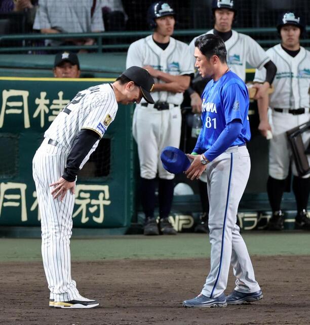 藤川監督「申し訳ない。その一言です」
