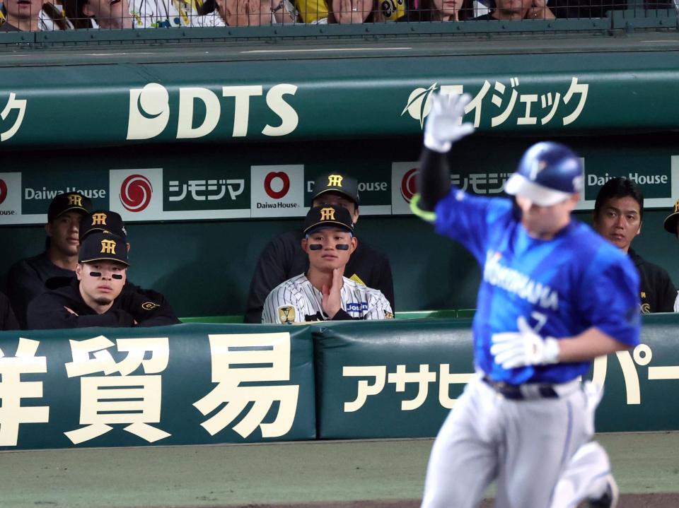 ３回、佐野が先制３ランを放ち、ベンチからグラウンドを見つめる佐藤輝と森下（撮影・山口登）