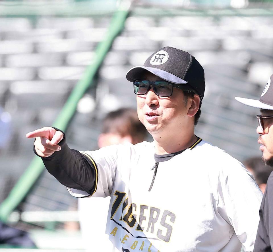 試合前練習を見る藤川監督（撮影・西田忠信）