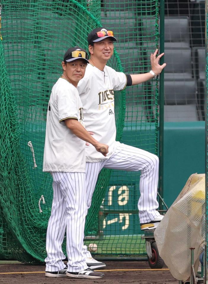 　練習を見守る藤川監督（右）と藤本コーチ＝９月１３日