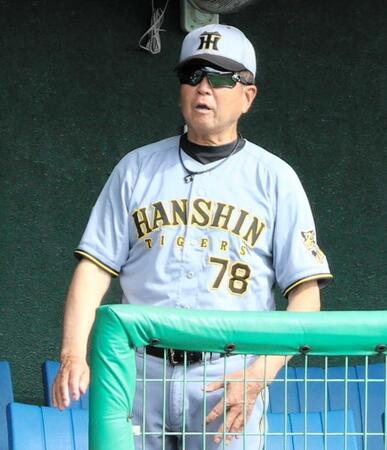 　戦況を見つめる平田２軍監督（撮影・間宮涼）
