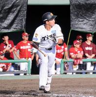 　９回、逆転サヨナラ３ランを放つ立石