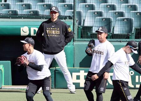 　投手陣の練習を見る藤川監督（撮影・田中太一）