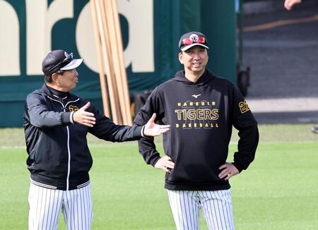 平田ヘッドコーチと話をする藤川監督＝２８日