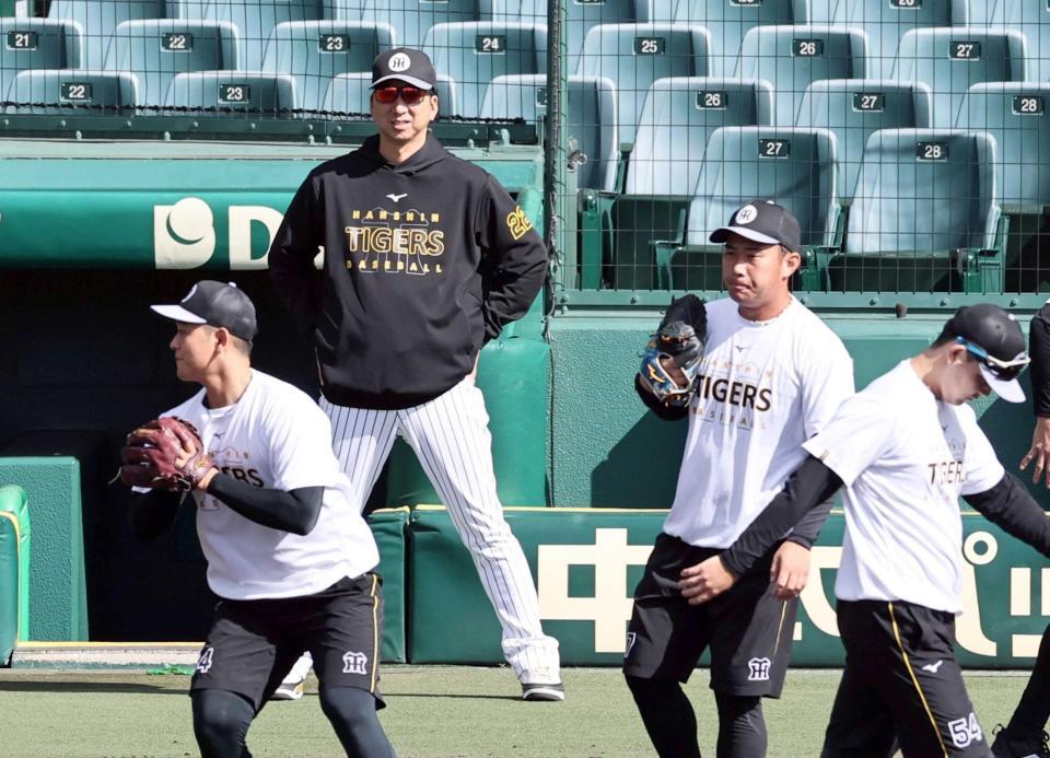 　投手陣の練習を見る藤川監督（撮影・田中太一）