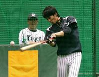 打撃練習に励む阪神・藤浪晋太郎＝甲子園（撮影・棚橋慶太）