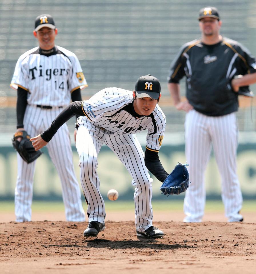 ノックを受ける阪神・藤浪晋太郎＝甲子園（撮影・棚橋慶太）