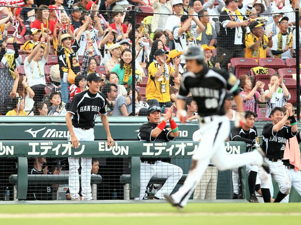 ９回阪神１死一、三塁、阪神・坂　克彦の適時打でベンチから歓声を上げる阪神・藤浪晋太郎（左・手前はホームへ向かう阪神・今成亮太）＝マツダスタジアム（撮影・出月俊成）