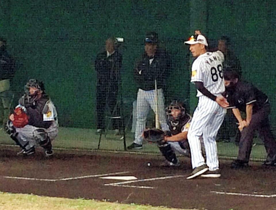 　岩貞の投球練習で打席に立つ矢野コーチ（撮影・吉田　風）
