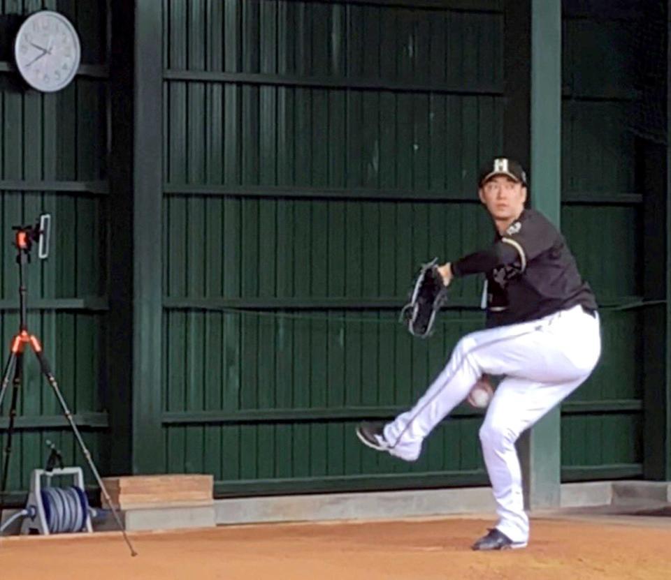 　日本ハム・斎藤は国頭村のブルペンで朝から２００球投げ込んでいた