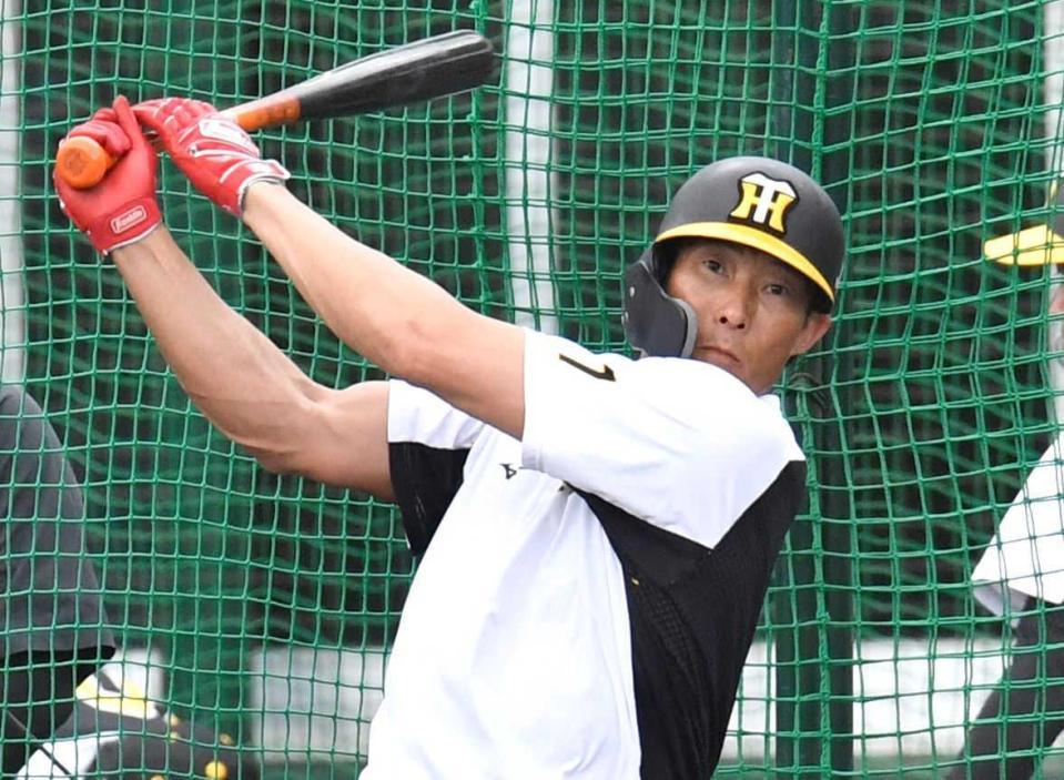 　打撃練習をする阪神・糸井