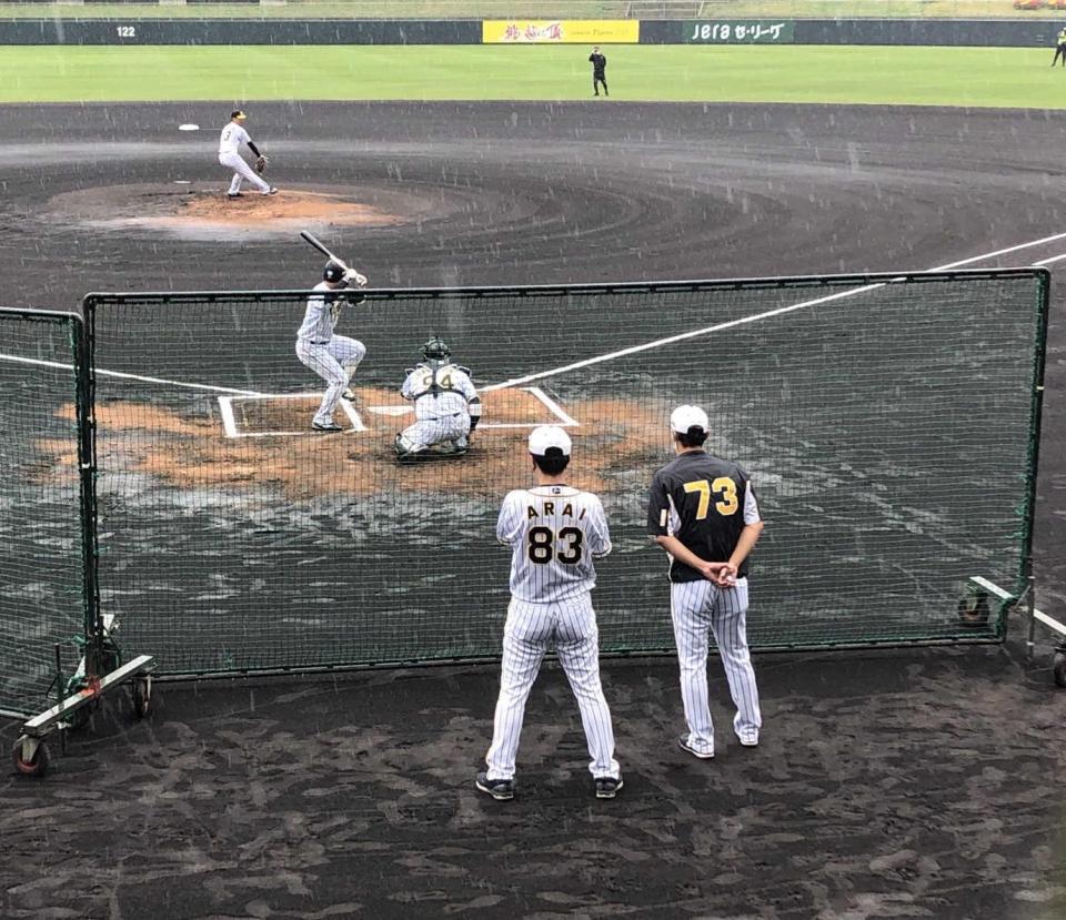 　宜野座に居残り、シート打撃を見守る新井コーチ（背番号８３）