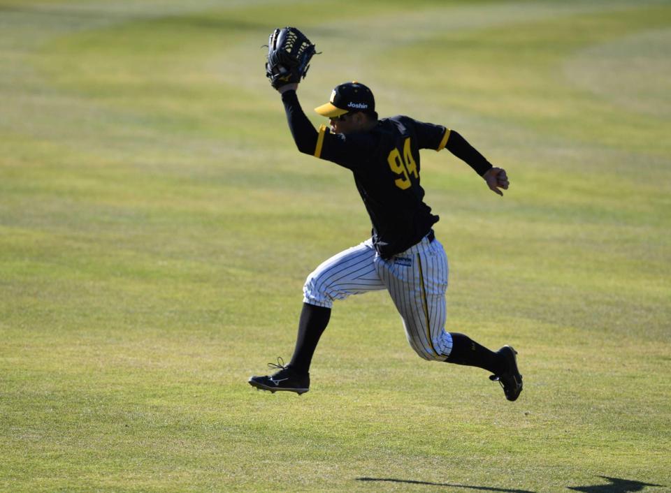 　守備練習で汗を流す原口（撮影・石井剣太郎）